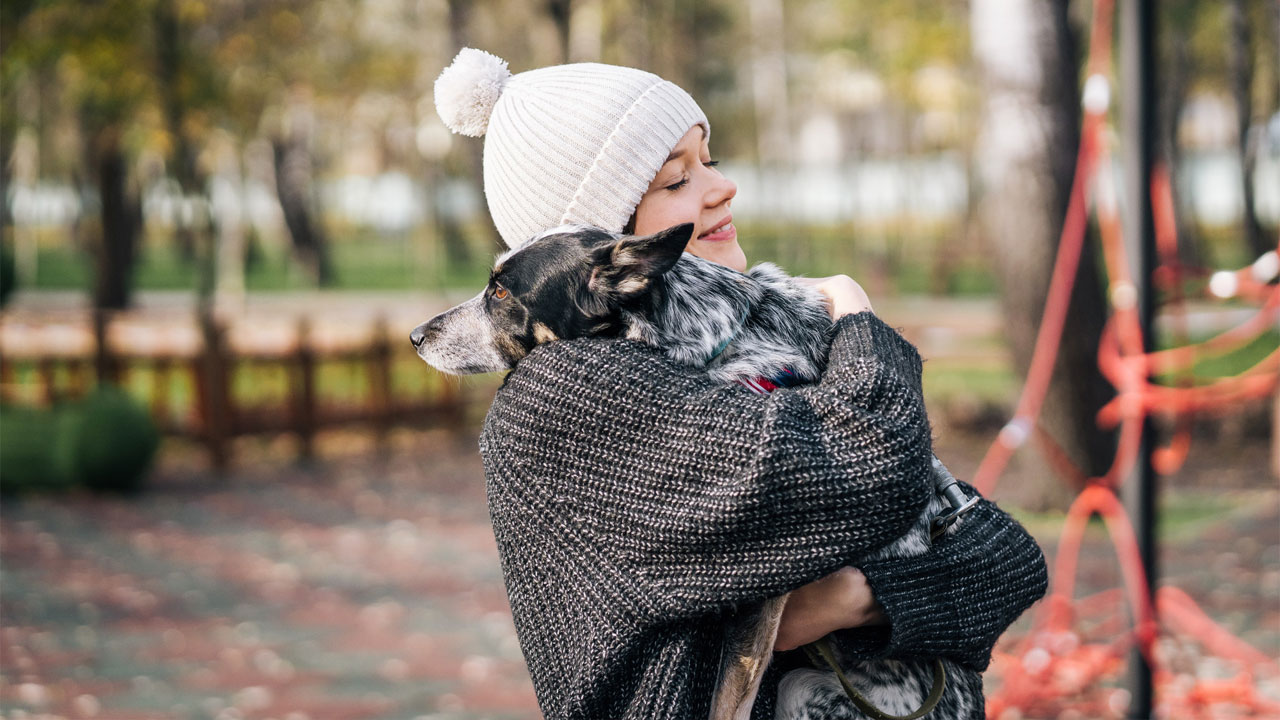آشنایی با بیماری‌های شایع در حیوانات خانگی در فصل پاییز و زمستان